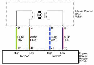 Electrical diagram of the IAC valve