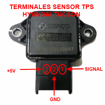 Terminales del sensor TPS Hyundai Tucson