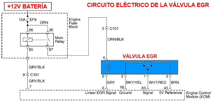 Circuito eléctrico de la válvula EGR