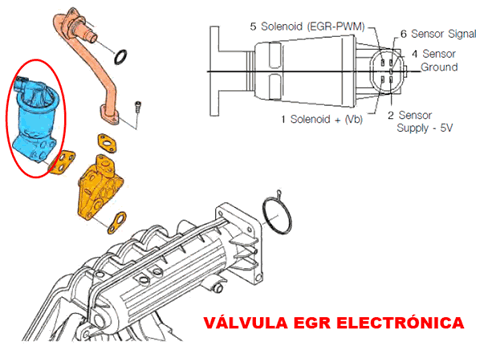 Conector de válvula EGR electrónica