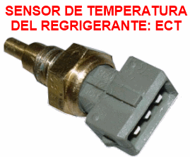 Sensor de temperatura del refrigerante ECT