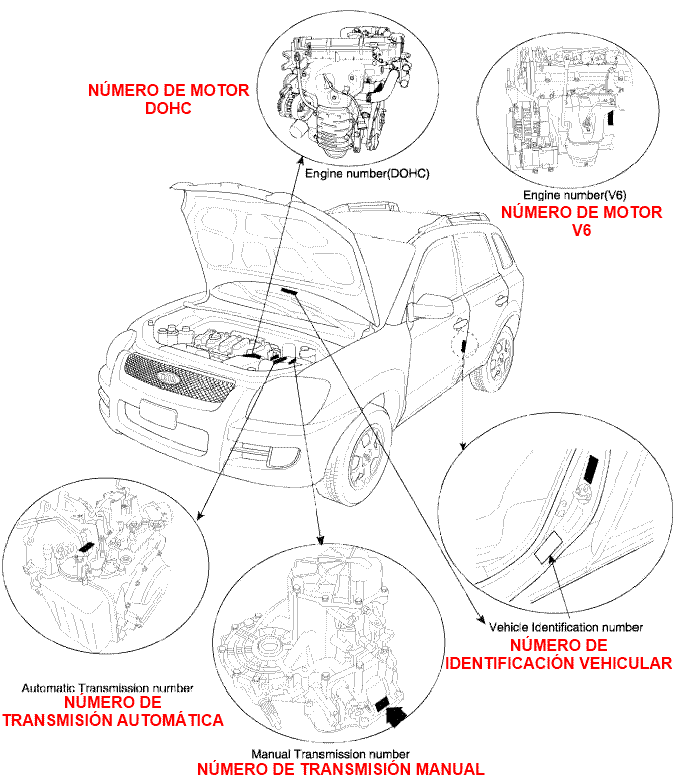 Etiquetas de identificación vehicualr del Kia Sportage ACTIVE