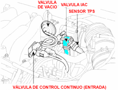 Sensor de posición de aceleración:ubicación TPS