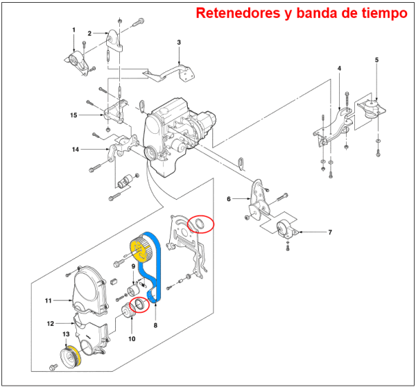 Retenedores y banda de tiempo